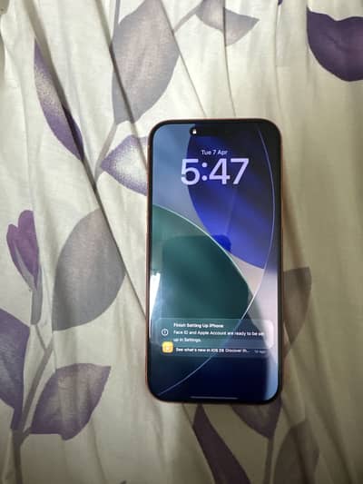 17 pro max 256 gb orange