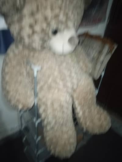 Imported Washable Steady Bear