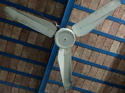 brand wrong hai new asia ka fan brand me aa ni raha to yh laga diya