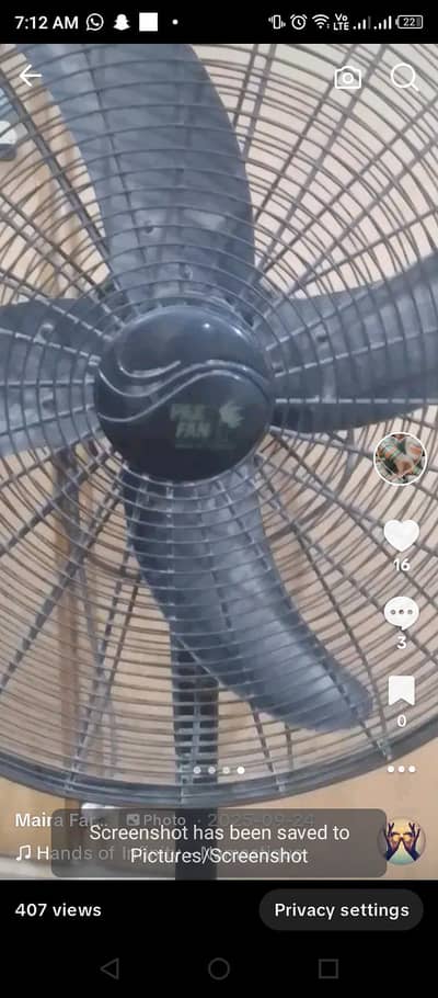 black fen hai room fen hai ye