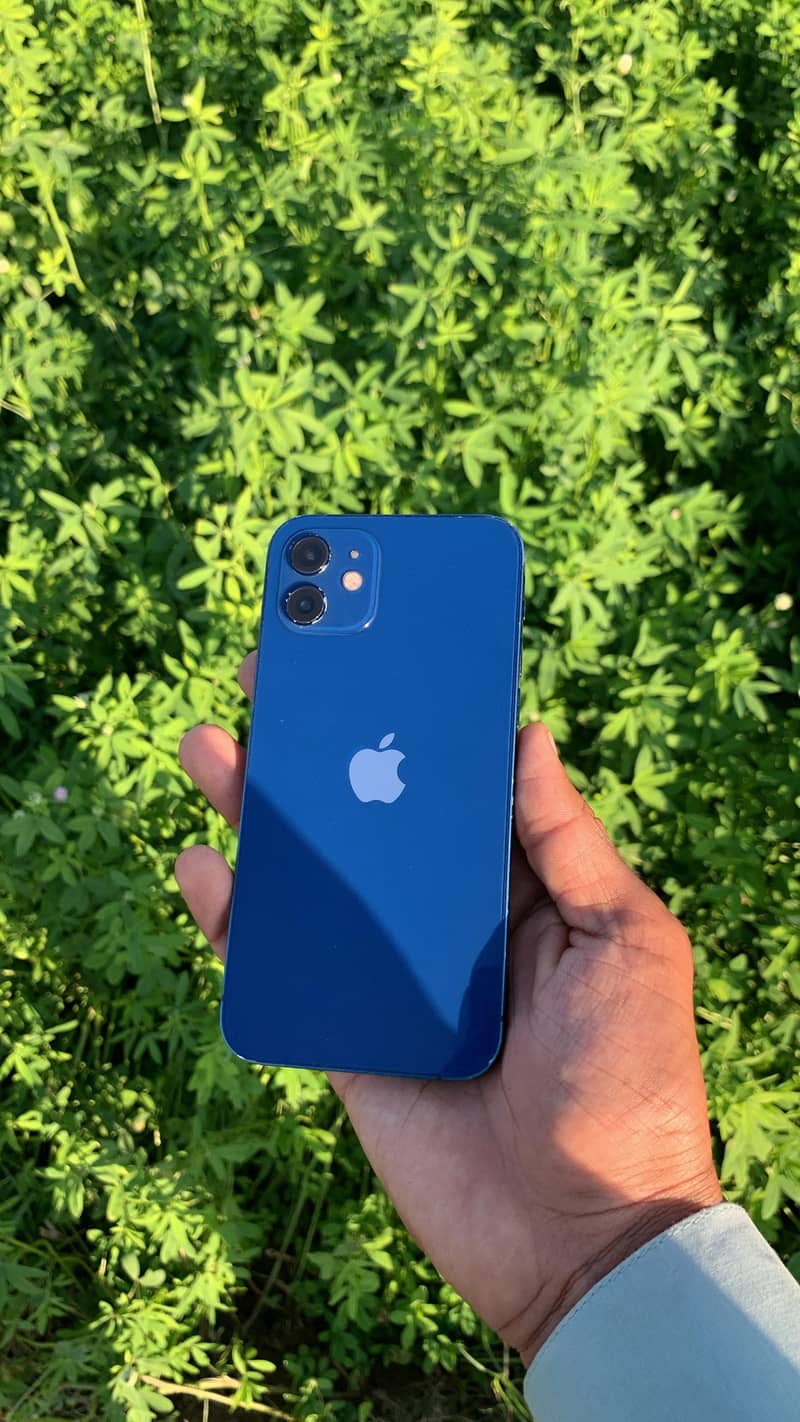 iPhone 12 0