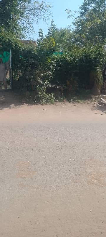 19 Marla Commercial Plot On Service Road For Sale On Edhtsm