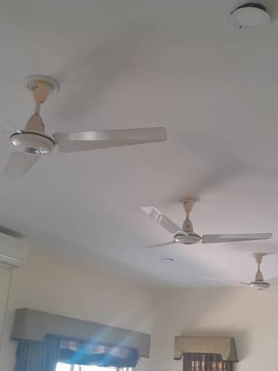Cieling fans