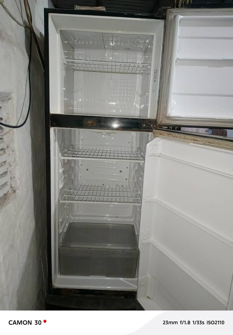 fridge 1