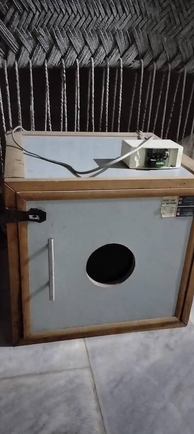 eggs hatching matchine