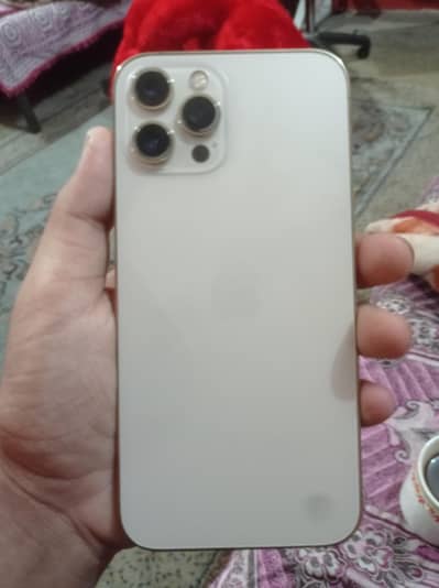 Buy golden iphone 12 pro max