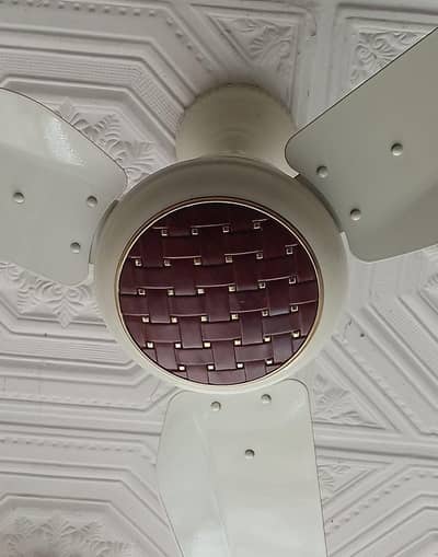 GFC fan only 20 to 30 days used