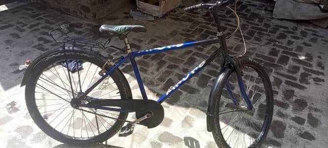 phoenix bicycle for sale