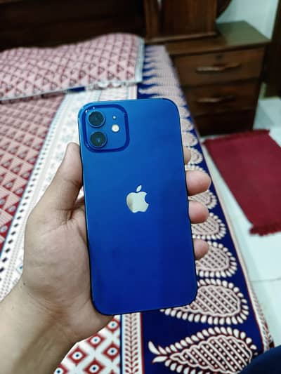 Iphone 12 pta approved