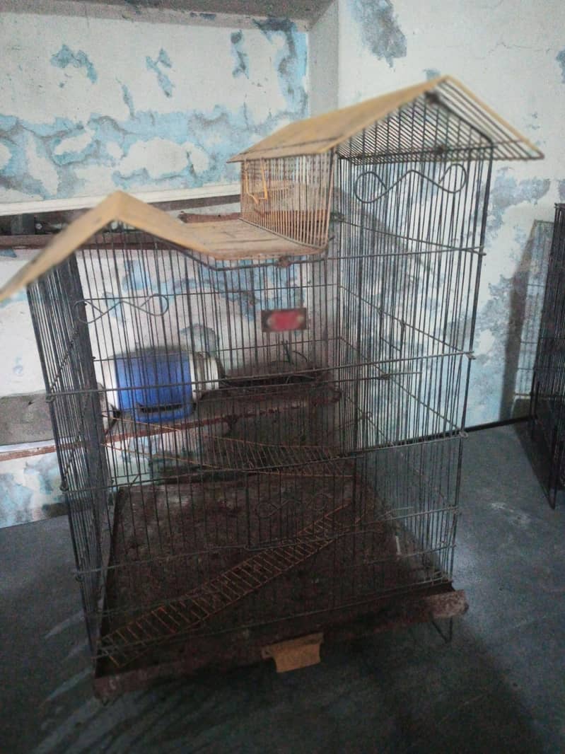 Bird cages 1