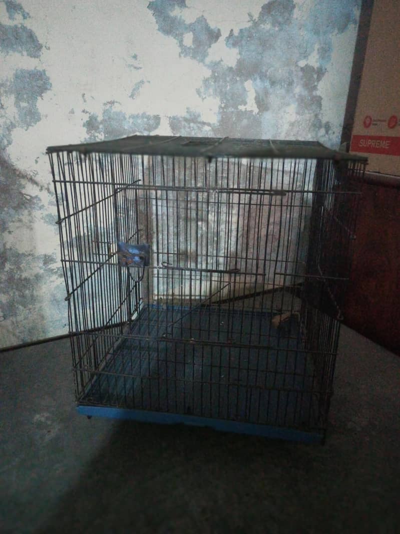 Bird cages 2