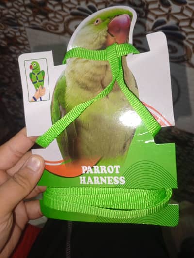 Parrot harness