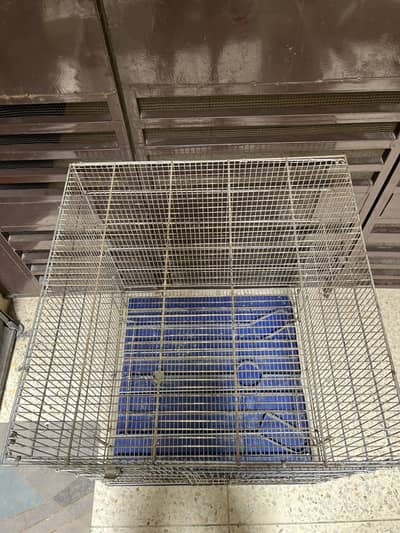 Big Cage For Sale