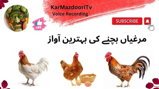 full activity and healthy and available