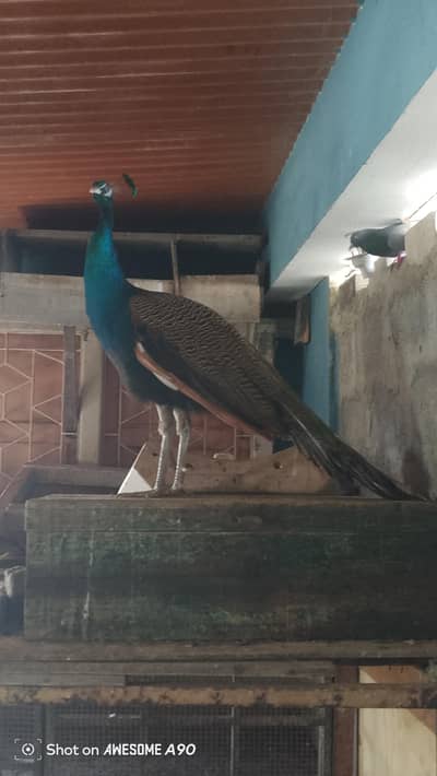 liqutabad no 2 karachii