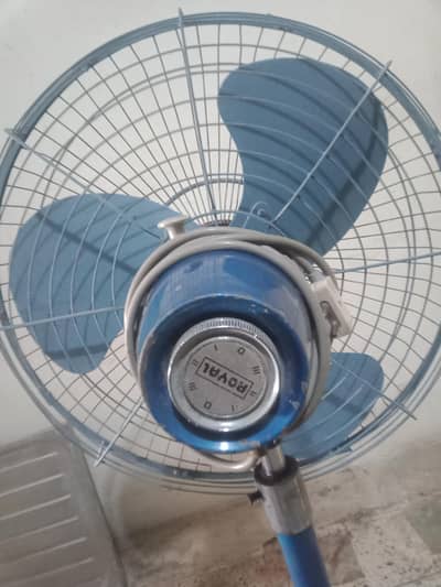 royal pedestal fan