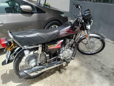 All punjab advance 2024