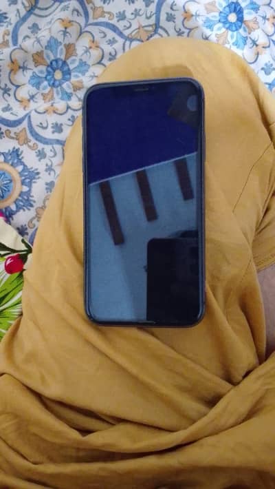 I phon 11 pta approved