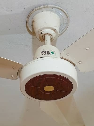 PAK FAN