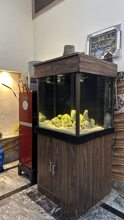 Fish Aquarium