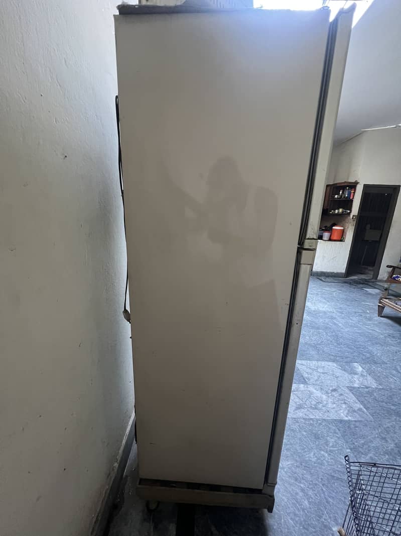 Orient Refrigerator 2