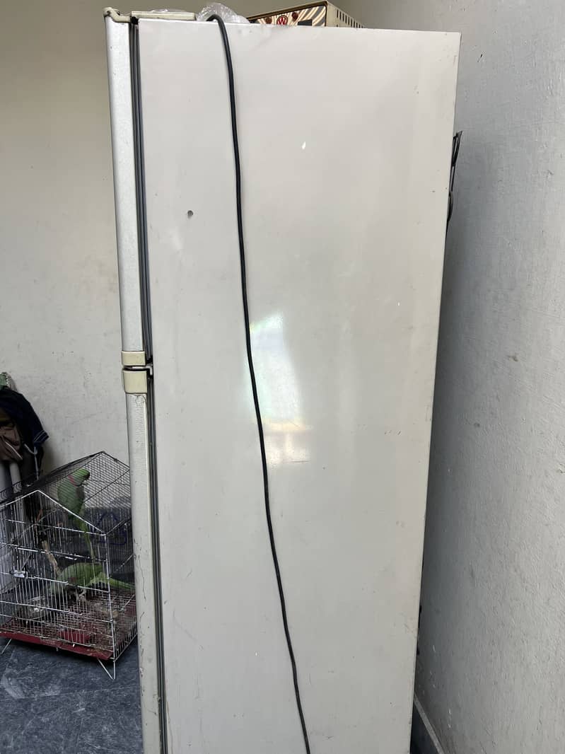 Orient Refrigerator 4