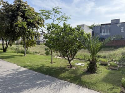 2 Kanal Pair Residential Plot No 1459+1460 Urgent For Sale | DHA Phase 7 Block X