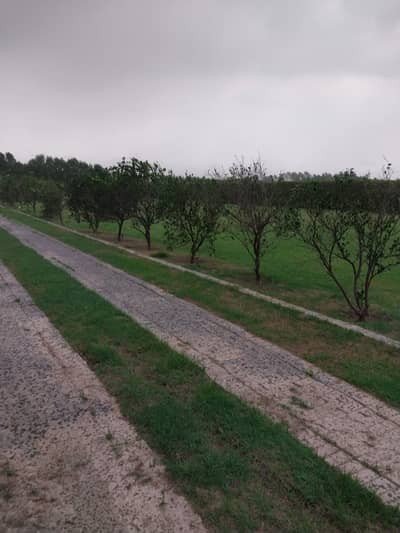 Hot Location 14 Kanal Farmhouse For Sale Main Barki Road Lahore