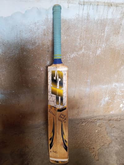 cricket bat peds and helmet