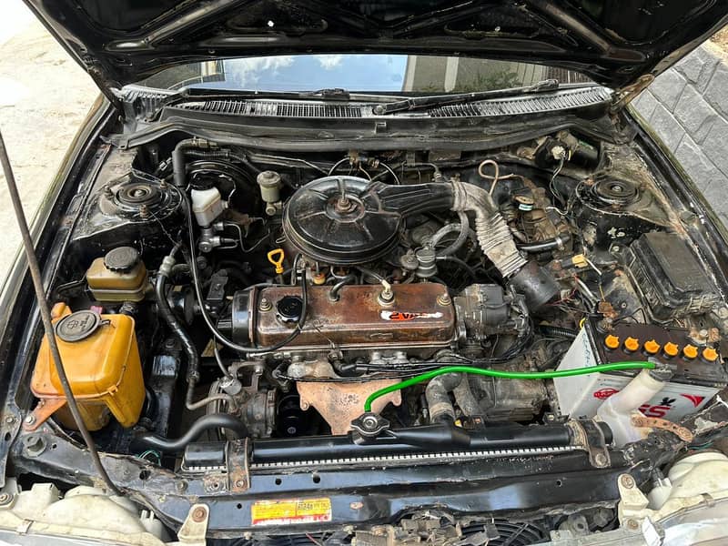 Indus Corolla 6