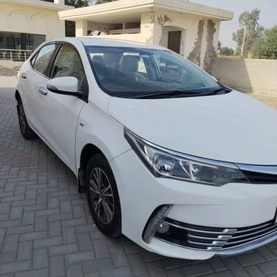 GLI 2019 super white