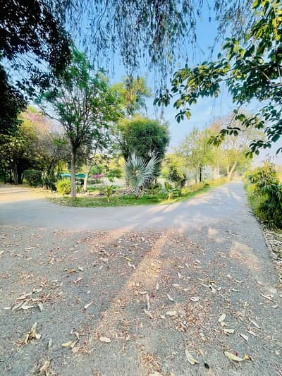 14 Kanal Farm House For Sale Main Bedian Road Thethar