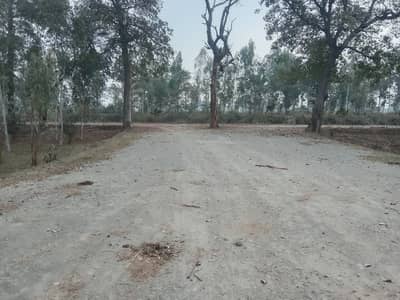 Good Location 800 Kanal Farm House Land For Sale On Bedian Road
