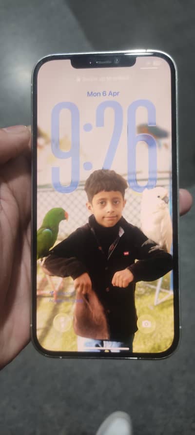 12 pro max pta approved