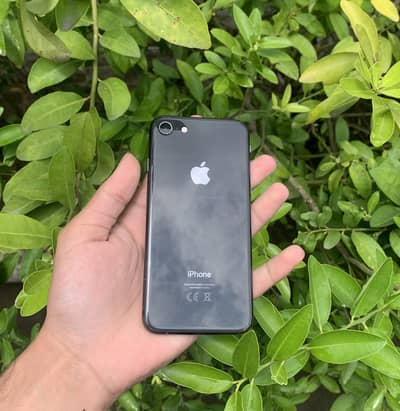 Iphone 8 64gb officiall pta approved