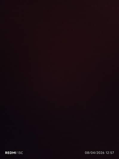 koi mujha russian cat free ma da do please