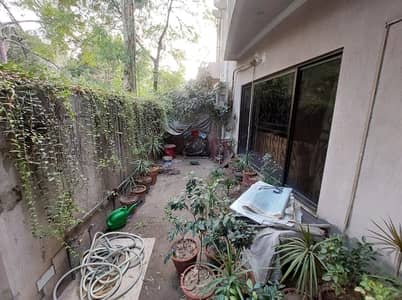 House Of 14 Marla Is Available For rent In Gulberg