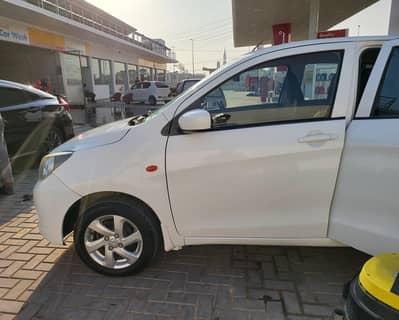 cultus vxl 2019 model