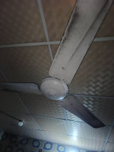 020 Fans for urgent sale