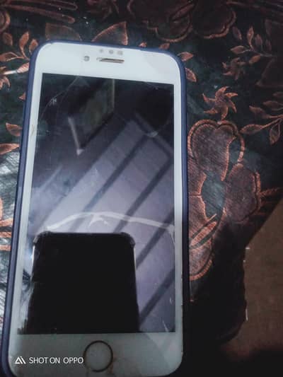 panel tota hy bas 64Gb