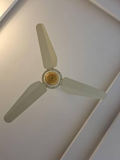 FANCY LOOK CEILING FANS