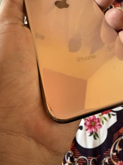 Iphone Xs (Dual Approved)
