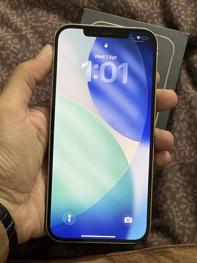 Iphone 12 pro max 256 gb pta approved