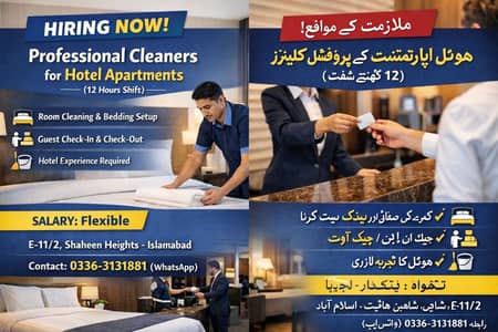 Professional cleaner for hotel apartments