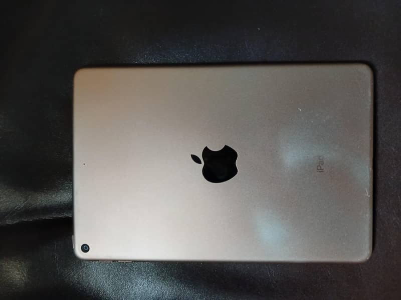 Ipad mini 5 1