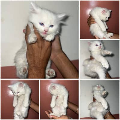 active and healthy baby