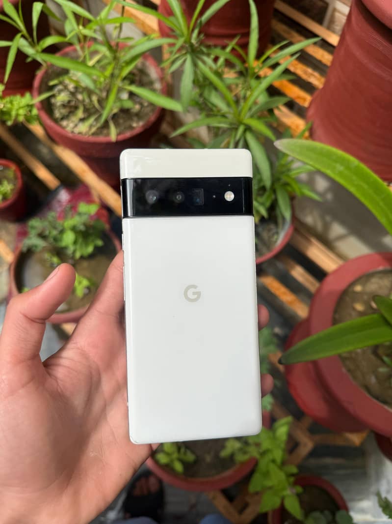 Google Pixel 6 pro 1