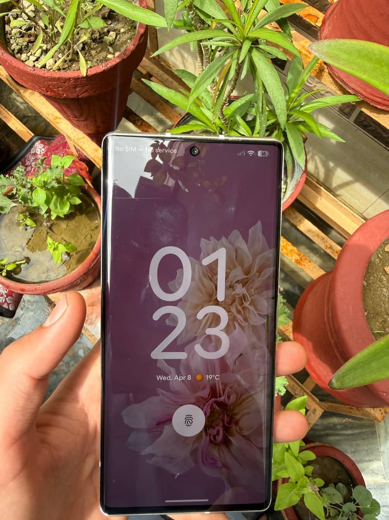 Google Pixel 6 pro 5