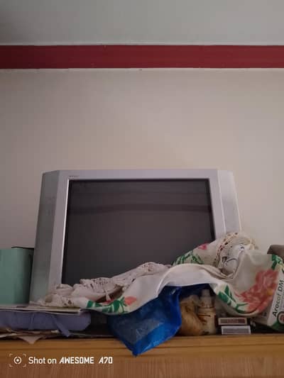 Bilkul ok Hay Koi Fault Nahi Hay