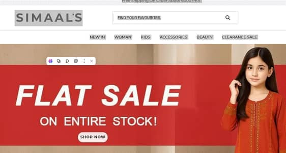 Shopify and Wordpress developer